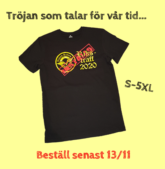 Året som inte blev